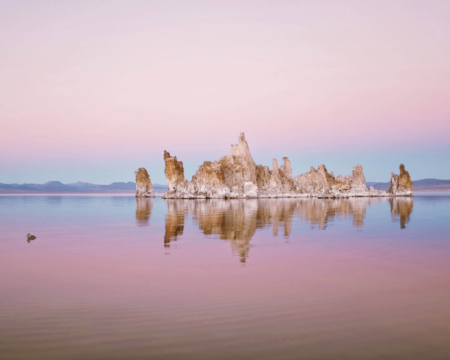 Photographer Profile: Matt Gee