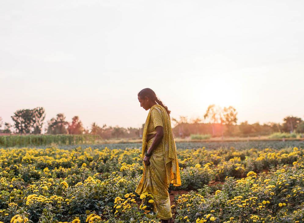 December Stories: The Hope of Safe Water